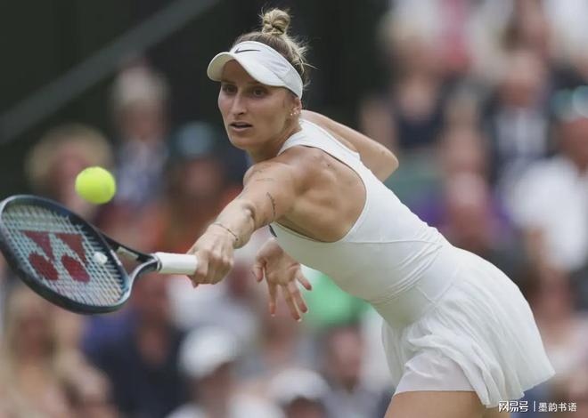 速适应国家 速适应国家