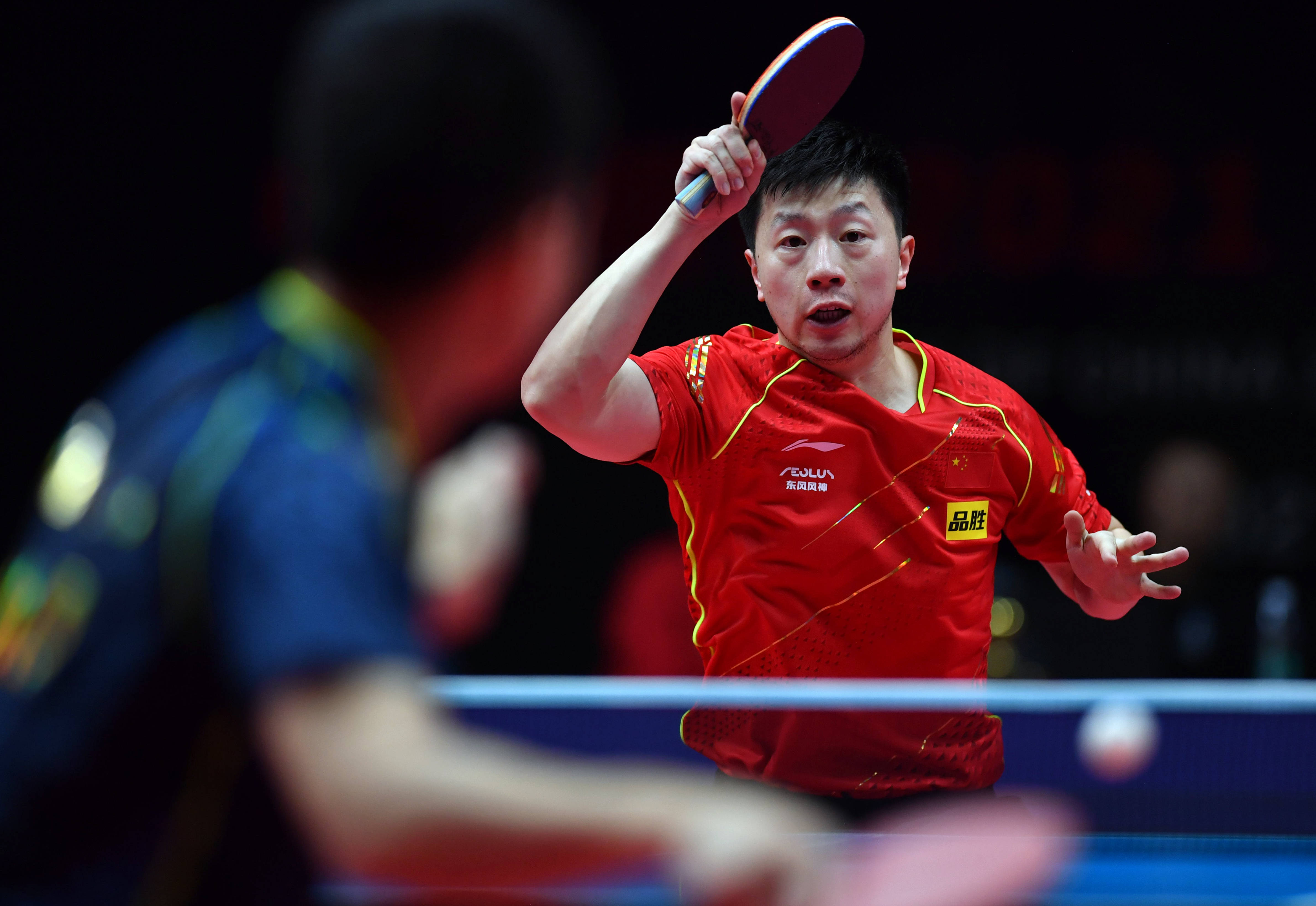 引发了球迷 引发了球迷