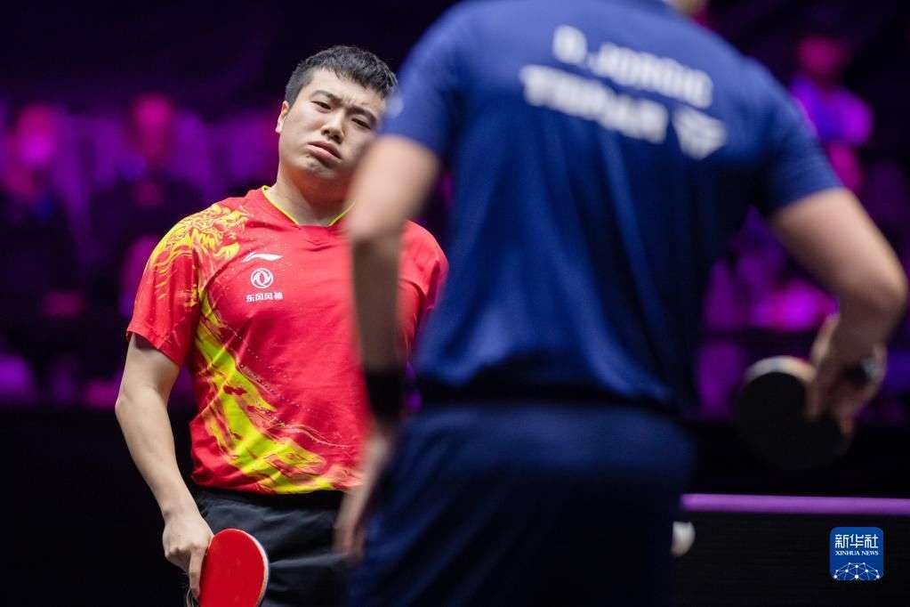 也为团队提 也为团队提