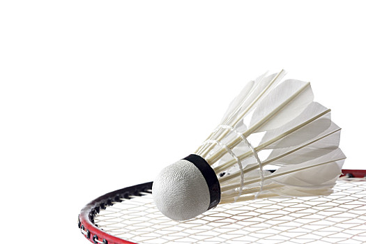 他们在接发 他们在接发